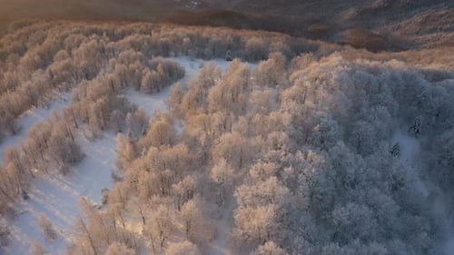 Winter Sunrise Above The Mountain Forest 5