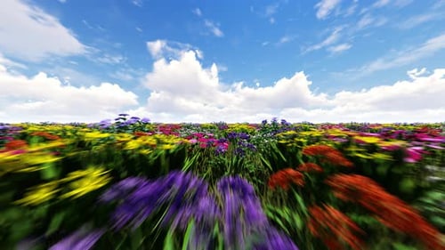 Flying Through a Colorful Vibrant Flower Field