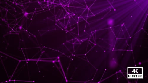 Abstract Purple Digital Network Background Animation