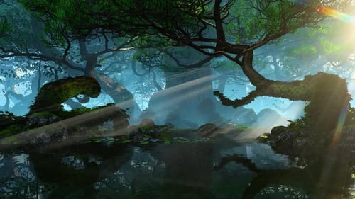 Sun Rays In A Dark Forest