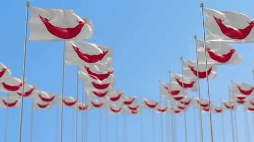 Many Rapa Nui Flags Waving on Poles Against Blue Sky