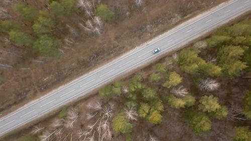 Car On The Road In Autumn Forest