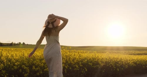 The Girl Is Walking Along the Field and Passing Her Hand Over the Flowers and Holding Her Hat