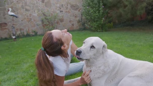 Woman Interacting with Dog on Green Lawn