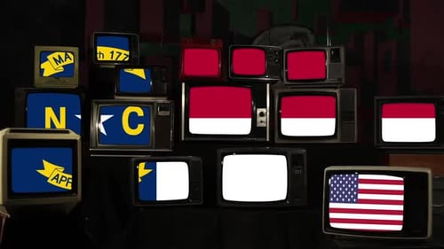 Vintage Televisions Displaying Static and State Flags
