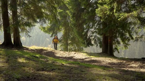 A Man with a Backpack Travels in a Beautiful Forest