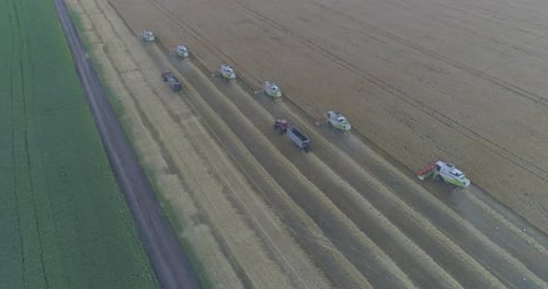 Aerial view of combine harvesters
