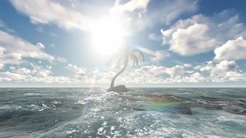 Trees grow in the middle of the sea