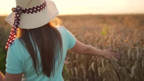 Woman in a Hat and a Blue Dress Walks Along a Wheat Field and Touches Ripe Spikelets of Wheat with