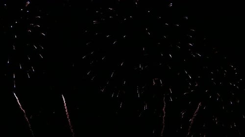 Colorful Fireworks Exploding in the Night Sky