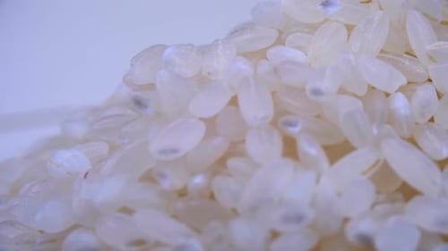 Grains of Raw Rice Rotate Close-up