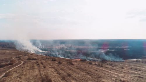 Forest and Field Fire. Dry Grass Burns, Natural Disaster. Aerial View.