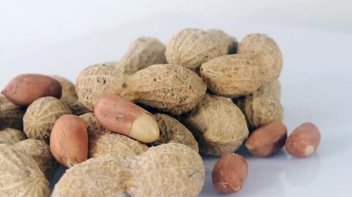 Macro Shot of Pile of Peanuts