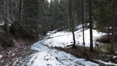 Narrow Frozen River In The Winter Forest