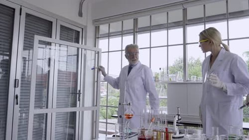 Scientists Doing Research in a Modern Laboratory