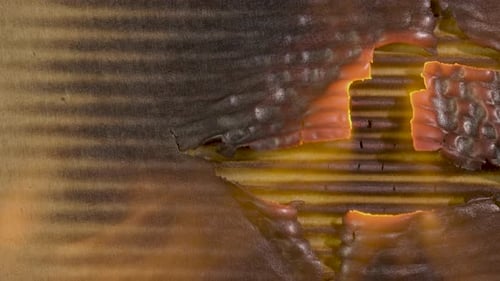 Transition Burning Cardboard