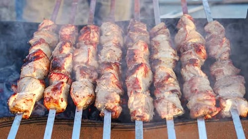 Meat Kebabs on the Grill