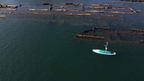 Aerial Shot