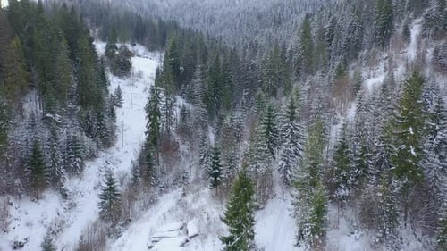 Aerial View of Snow Covered Trees in the Mountains in Winter