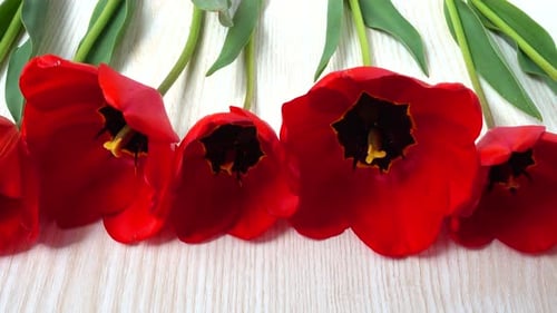 Close-Up of Vivid Red Tulips on Wood