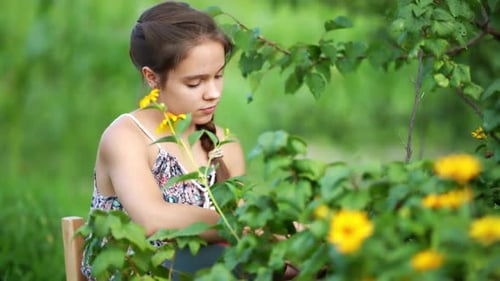 Young Attractive Girl Collecting Harvest in Garden.