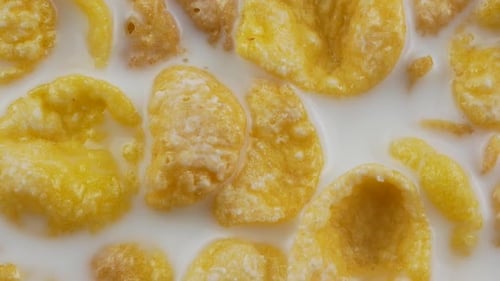 Corn Flakes Cereal Floating in Fresh Milk