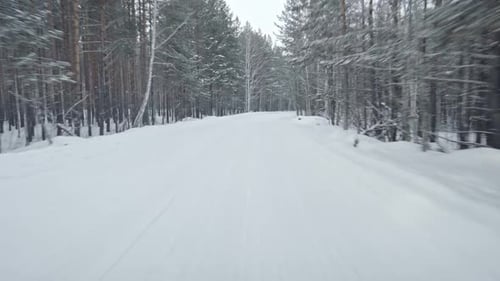 Driving Through Snowbound Forest Road