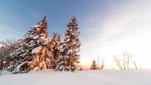 Beautiful Winter Landscape in the Mountains