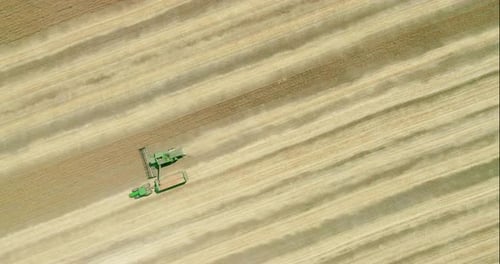 Combine Harvester Harvesting Wheat Field Aerial View