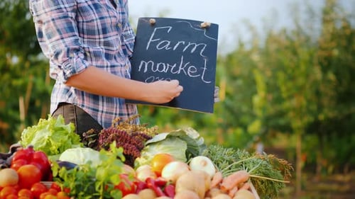Young Woman Writes Sign at Farm Market
