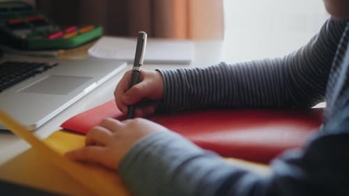Kid Boy Vorschule Online von zu Hause aus lernen Webkurs ansehen Lektion per Videoanruf Elearning auf