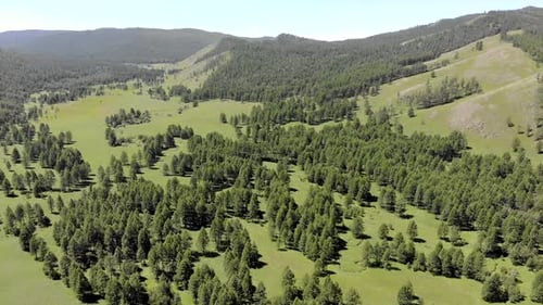 Green Meadows in The Sparsely Wooded Between Forest Covered Hills with Aerial View