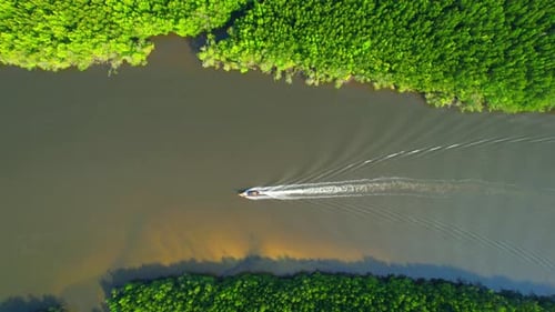Top view of the boat cruising along the river with mangroves surrounding.