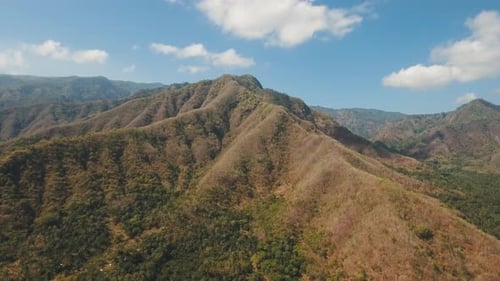 View Mountain Forest Landscape