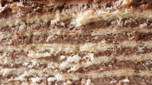 Multi-Layered Cake with Chocolate Filling Close Up