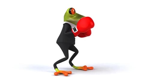 Froschboxen