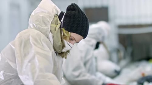 Workers Manually Sorting Recycling on a Conveyor Belt