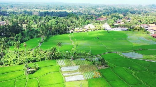 Aerial texture of beautiful resort beach adventure by blue green lagoon with white sandy background