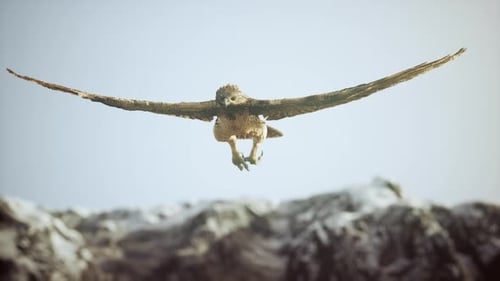 Majestic Eagle Flying Over Rocky Mountains