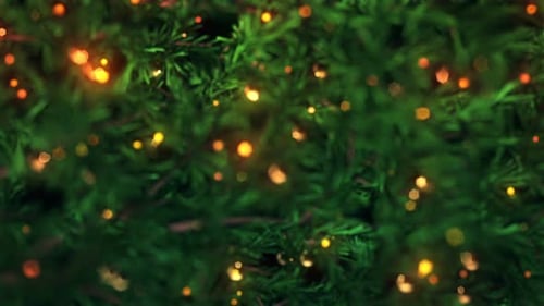 Weihnachts-Lichter