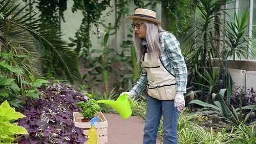 Adult Woman Waters Plants in Sunny Greenhouse