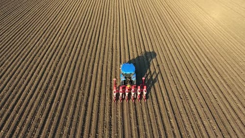 Blue Tractor Working Plowing Field