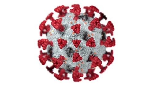 Covid-19 microorganism
