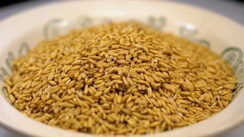 Grains of Raw Oat Groats Rotate on a White Plate Close-up