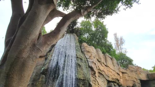 A Small Waterfall in a Wildlife Park, A Fabulous Place in Sunny Weather