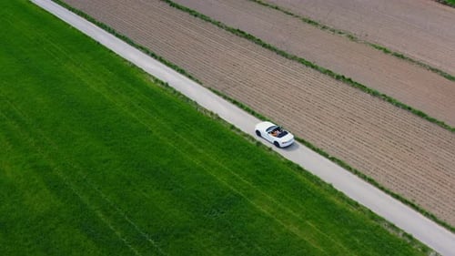 Driving Convertible Car In A Field