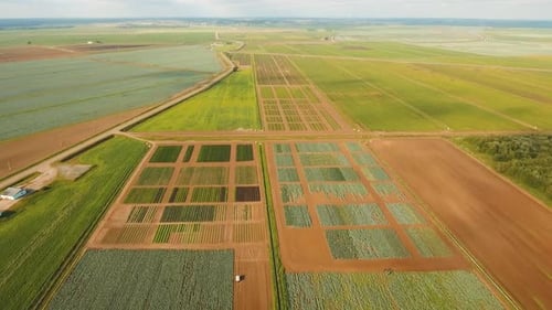 Aerial View of Farmland