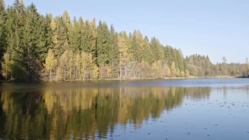 Herbstwald und Teich, Tschechische Republik