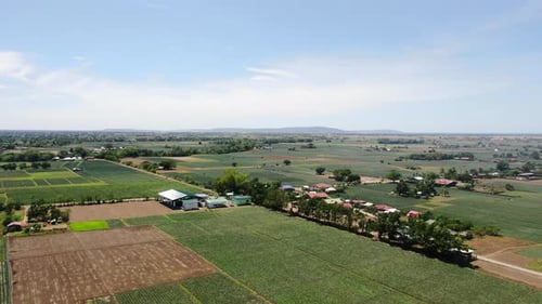 Aerial view of green wide field, houses and trees with clear sky during daytime in 4K quality.