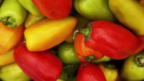 A Lot of Red Pepper Closeup Panning on a Background in the Store for Buyer.